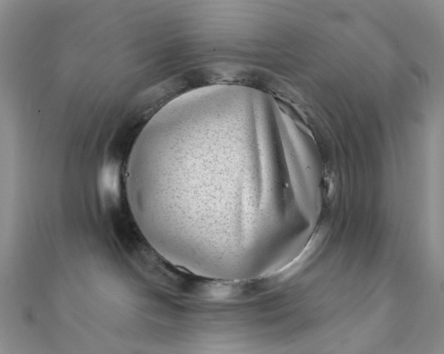 X0000111790094200908061146