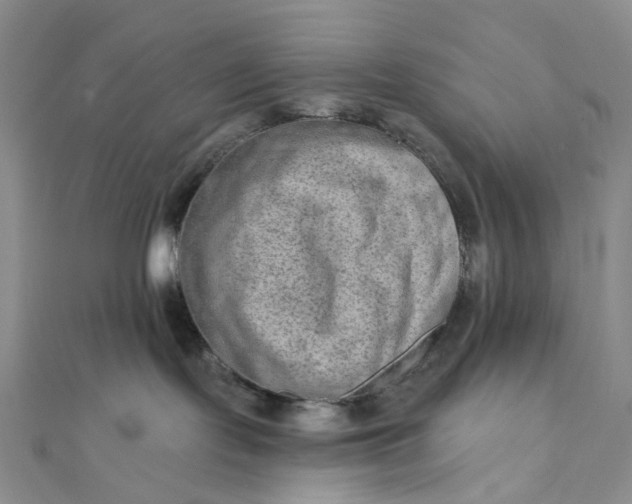 X0000111790095200908061146