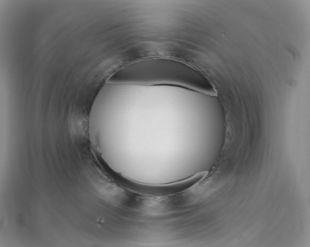 X0000111790096200908061146