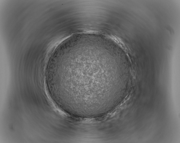 X0000111790097200908061145