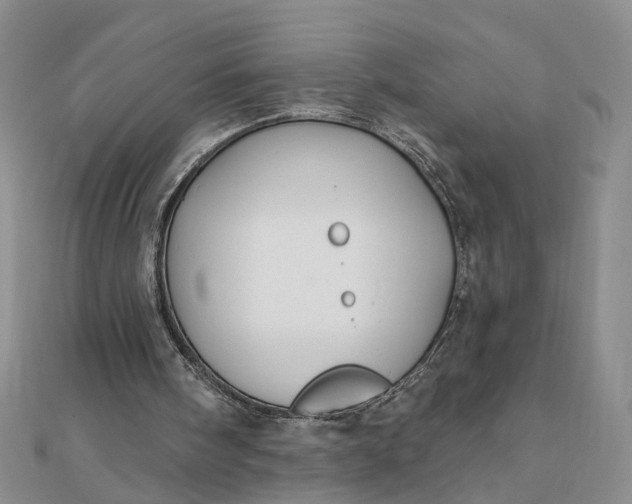 X0000111790098200908061145