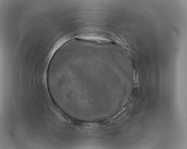 X0000111790099200908061145