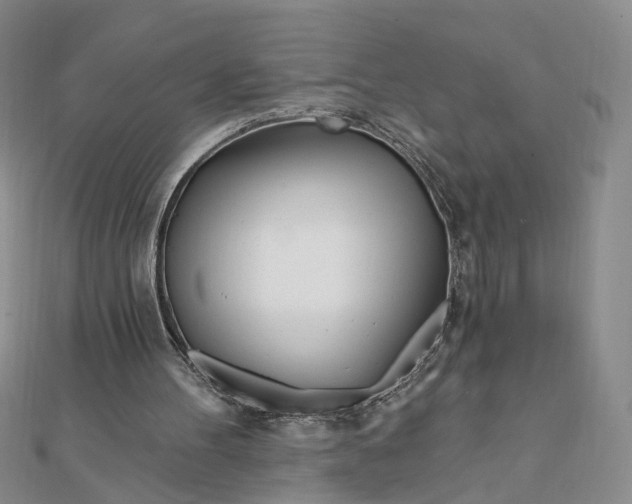 X0000111790100200908061145