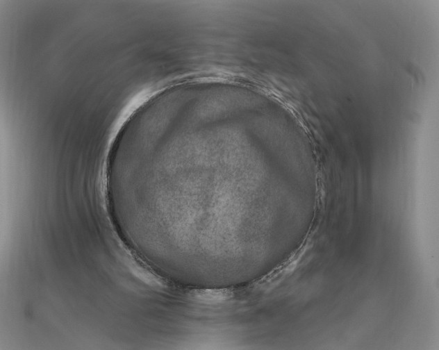 X0000111790102200908061145