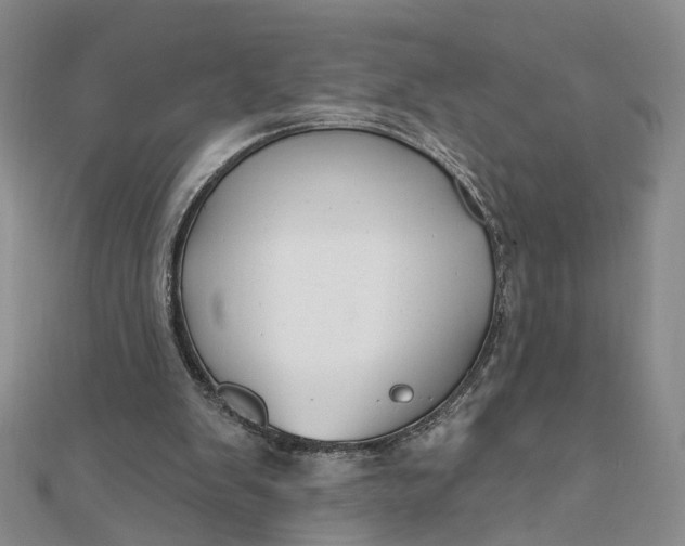 X0000111790103200908061145