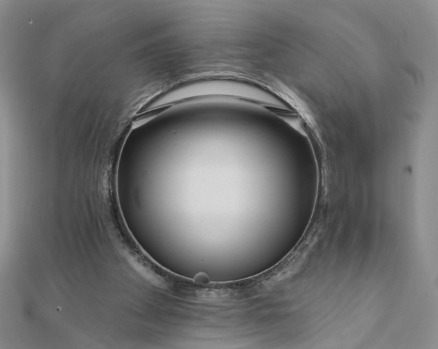 X0000111790105200908061145