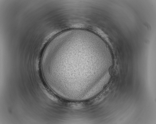 X0000111790106200908061145