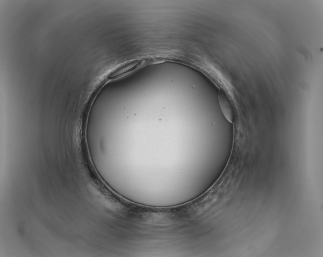 X0000111790107200908061145