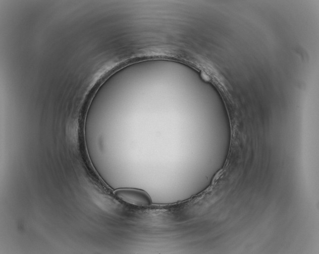 X0000111790108200908061145