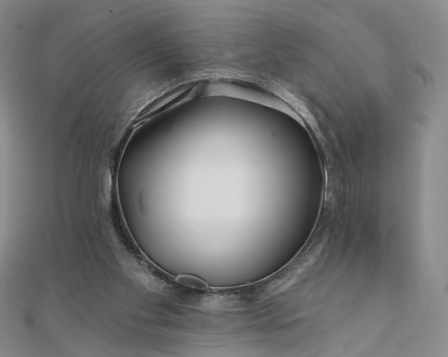 X0000111790109200908061145