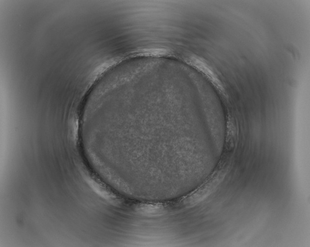 X0000111790110200908061145