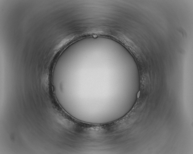 X0000111790112200908061145