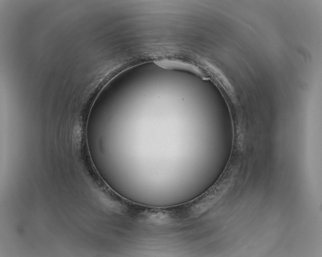 X0000111790113200908061145