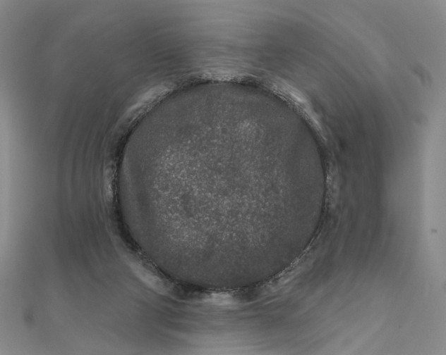 X0000111790114200908061145