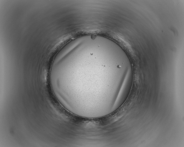 X0000111790115200908061145