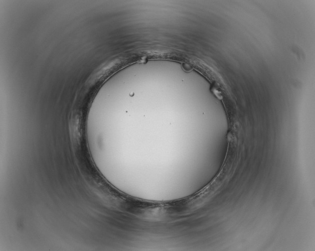 X0000111790116200908061145