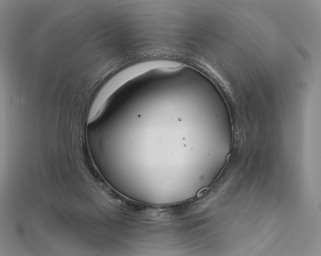 X0000111790117200908061145