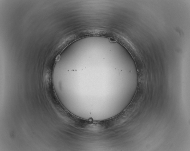 X0000111790119200908061145