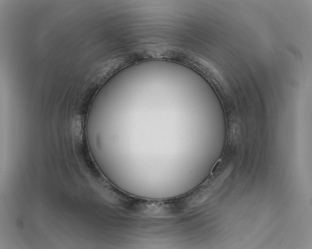 X0000111790121200908061145