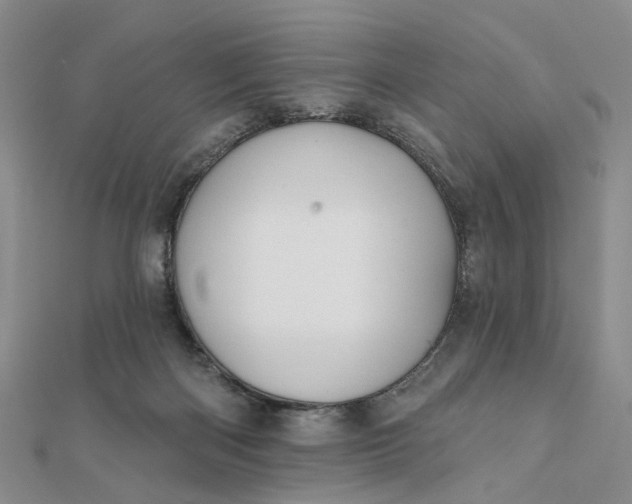 X0000111790122200908061145