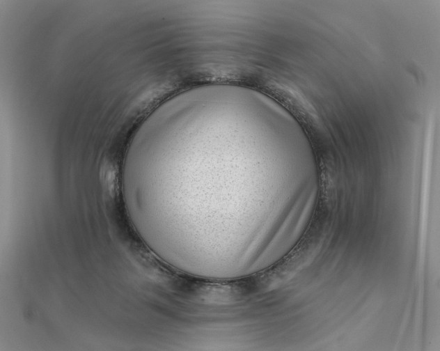 X0000111790123200908061145