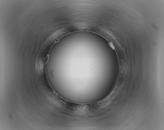 X0000111790124200908061145