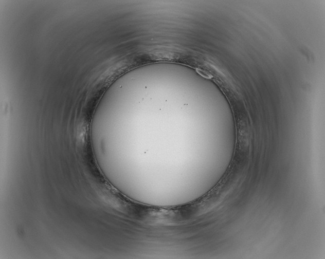 X0000111790125200908061145