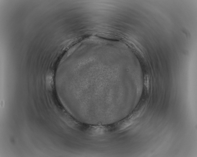 X0000111790127200908061145