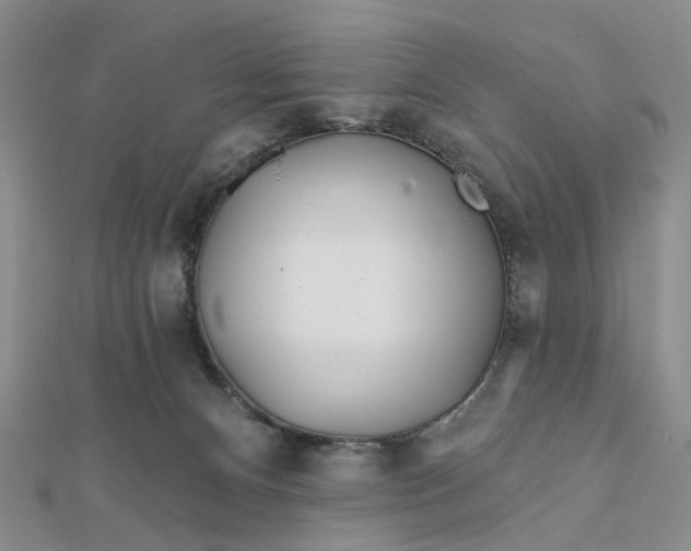 X0000111790128200908061145