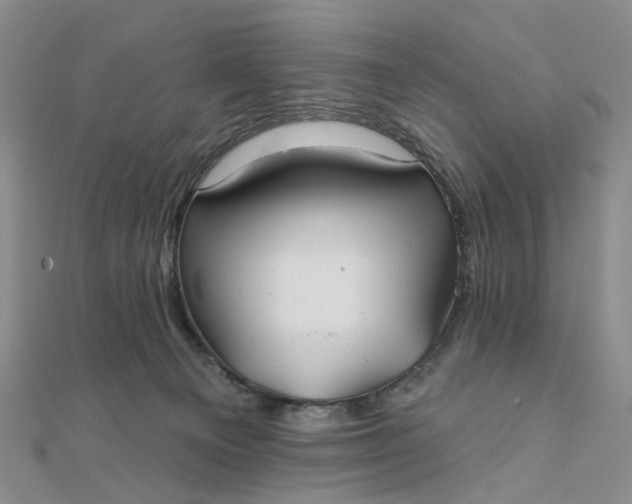 X0000111790129200908061145