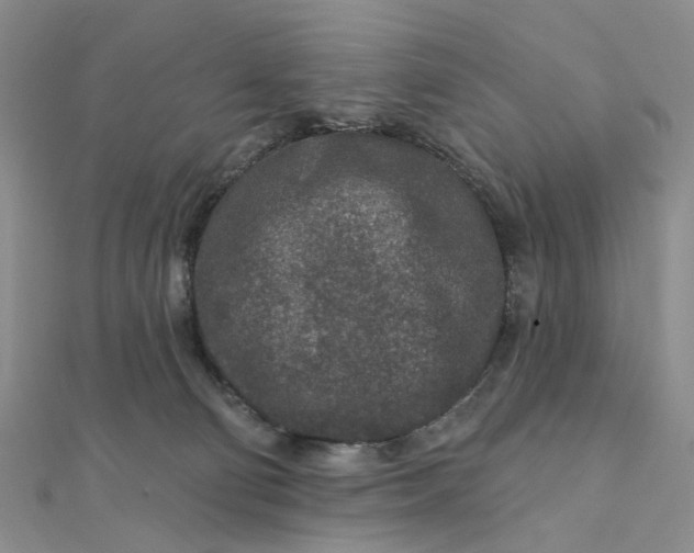 X0000111790130200908061145