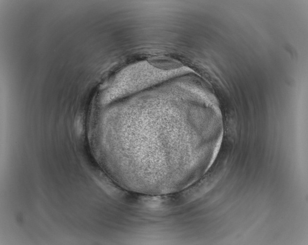 X0000111790131200908061145