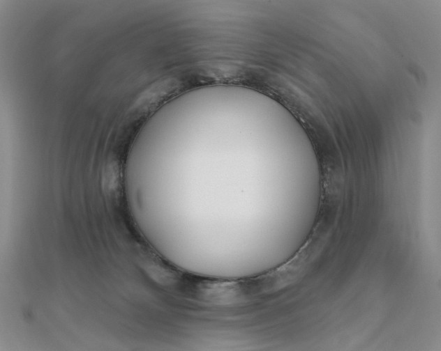 X0000111790132200908061145