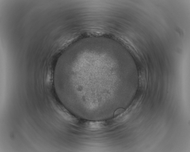 X0000111790134200908061145