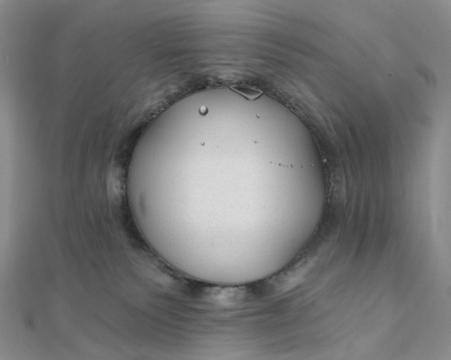 X0000111790135200908061145