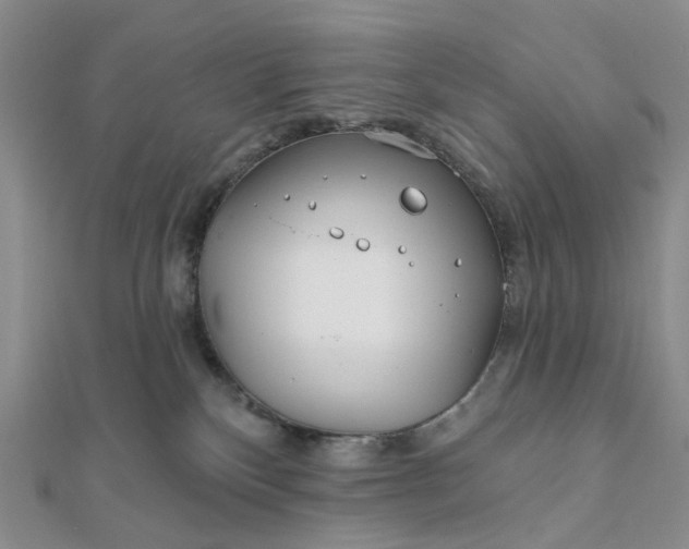 X0000111790136200908061145