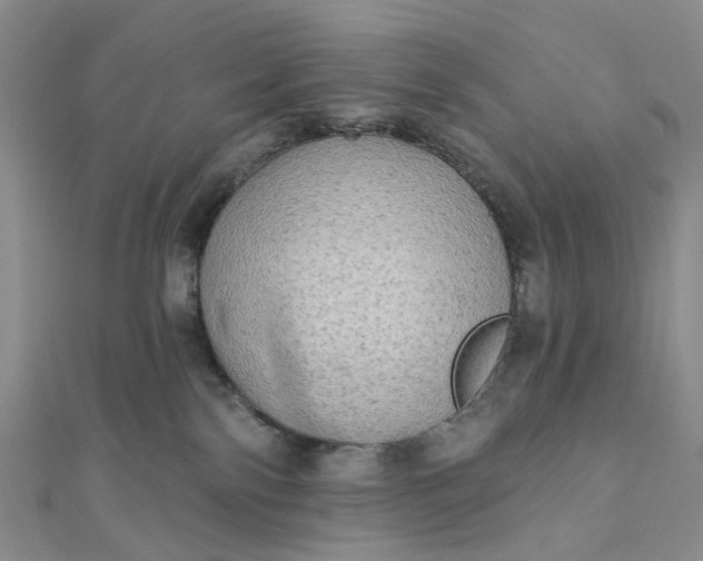 X0000111790138200908061145