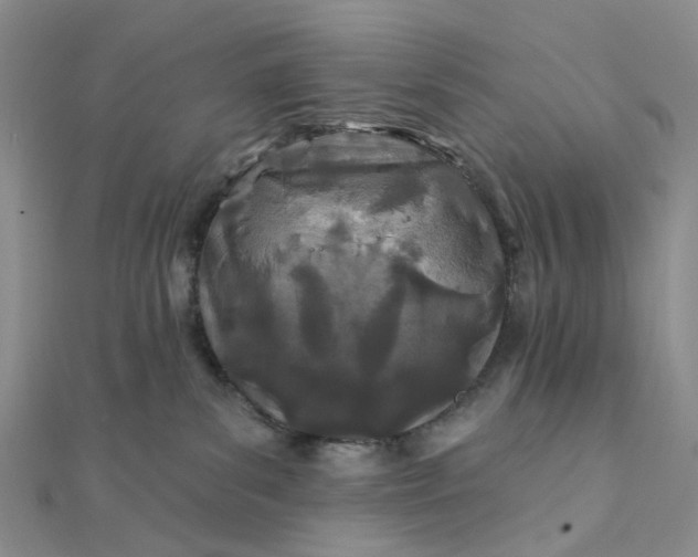 X0000111790139200908061145