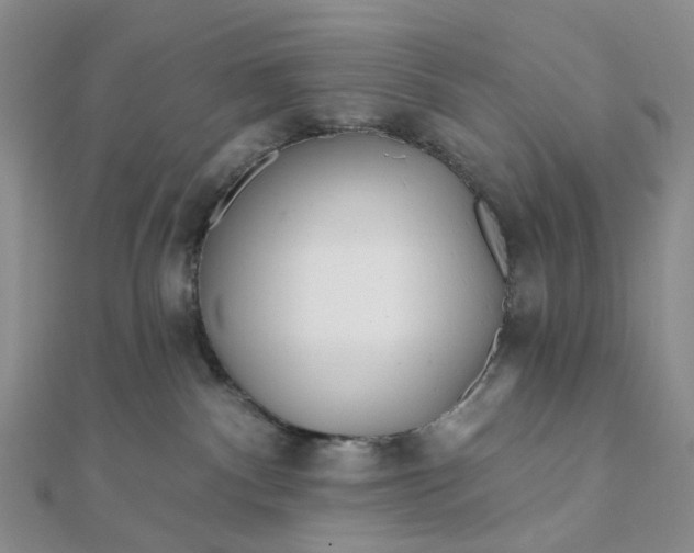 X0000111790140200908061145