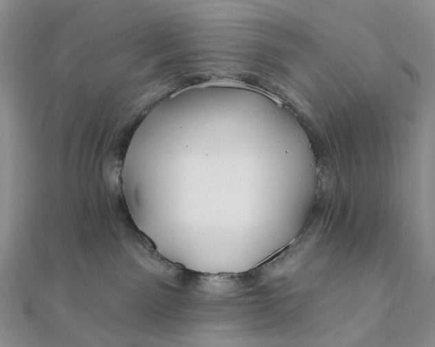 X0000111790141200908061144