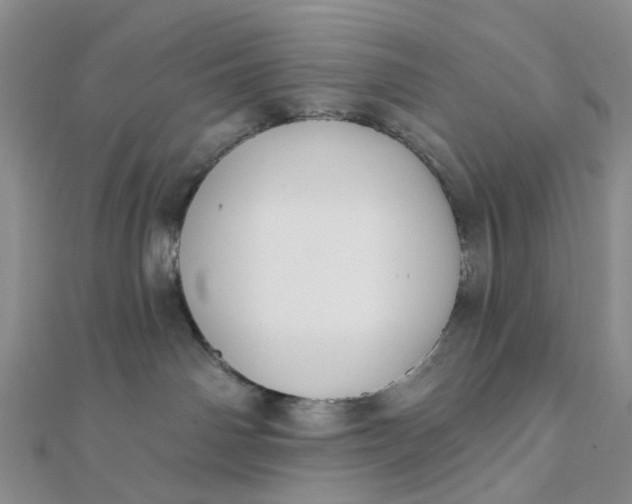 X0000111790142200908061144