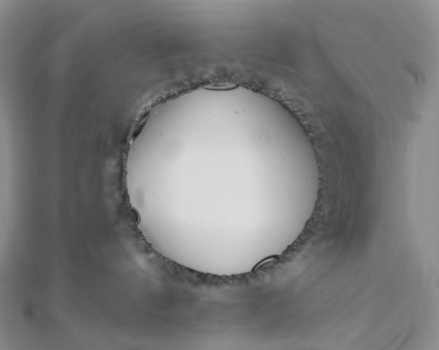 X0000111790144200908061144