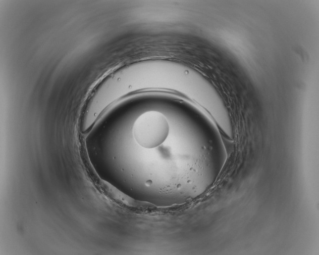 X0000111790146200908061144