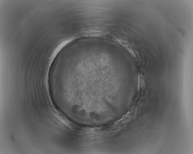 X0000111790147200908061144