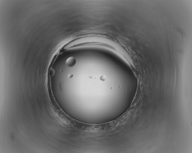 X0000111790148200908061144