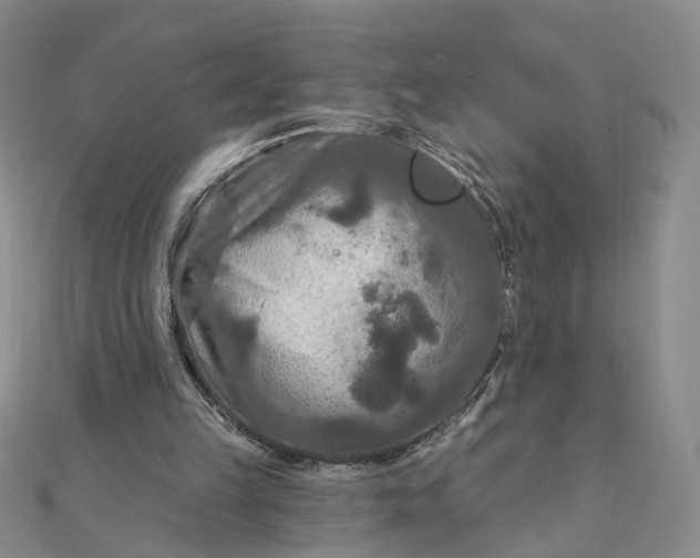 X0000111790149200908061144