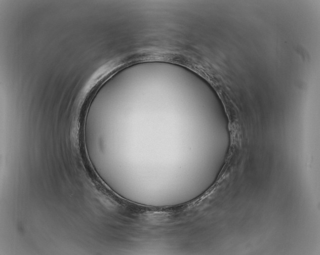 X0000111790150200908061144