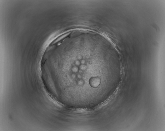 X0000111790151200908061144