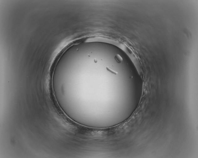 X0000111790152200908061144