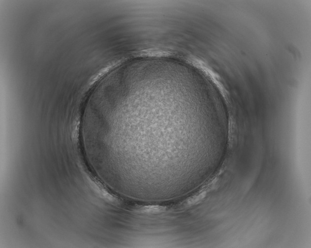 X0000111790153200908061144